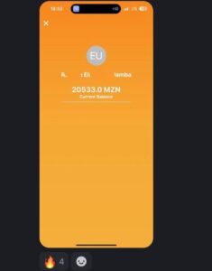 Recent payment proof: 20,533 MZN successfully received